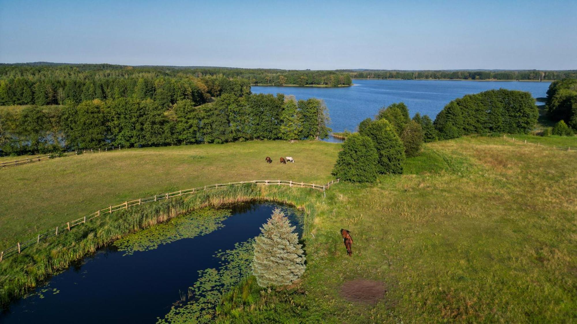 Dom Na Brzegu Ciszy Ferienhaus Passenheim